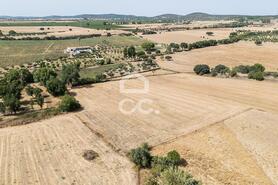 Quinta T2 - AMEIXIAL, Estremoz, �vora - Miniatura: 63/64