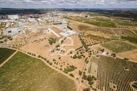 Terreno R�stico T0 - Reguengos de Monsaraz, Reguengos de Monsaraz, �vora - Miniatura: 2/14