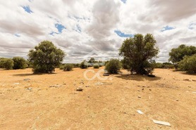 Terreno R�stico T0 - Reguengos de Monsaraz, Reguengos de Monsaraz, �vora - Miniatura: 7/14
