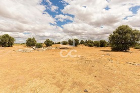 Terreno R�stico T0 - Reguengos de Monsaraz, Reguengos de Monsaraz, �vora - Miniatura: 8/14