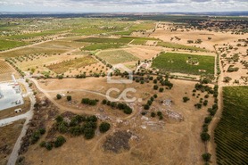 Terreno R�stico T0 - Reguengos de Monsaraz, Reguengos de Monsaraz, �vora - Miniatura: 13/14
