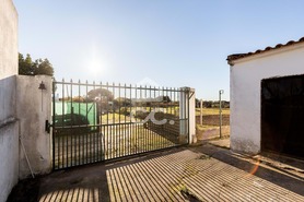 Terreno R�stico T0 - Canaviais, �vora, �vora - Miniatura: 7/45