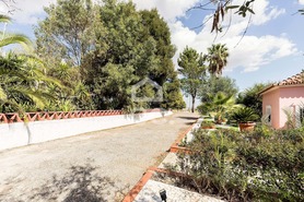 Quinta T4 - Matriz (Borba), Borba, �vora - Miniatura: 53/86