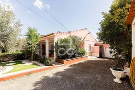 Quinta T4 - Matriz (Borba), Borba, �vora - Miniatura: 54/86