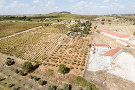 Quinta T4 - Matriz (Borba), Borba, �vora - Miniatura: 80/86