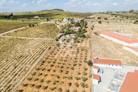 Quinta T4 - Matriz (Borba), Borba, �vora - Miniatura: 81/86