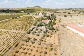 Quinta T4 - Matriz (Borba), Borba, �vora - Miniatura: 82/86