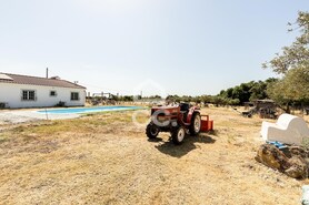 Quinta T3 - Bacelo, �vora, �vora - Miniatura: 37/78