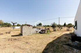 Quinta T3 - Bacelo, �vora, �vora - Miniatura: 44/78