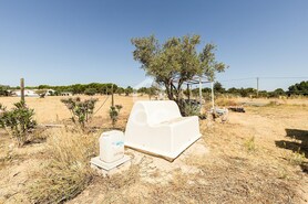 Quinta T3 - Bacelo, �vora, �vora - Miniatura: 45/78