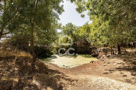 Quinta T3 - Bacelo, �vora, �vora - Miniatura: 53/78