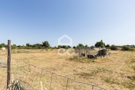 Quinta T3 - Bacelo, �vora, �vora - Miniatura: 57/78