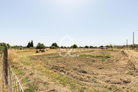 Quinta T3 - Bacelo, �vora, �vora - Miniatura: 60/78