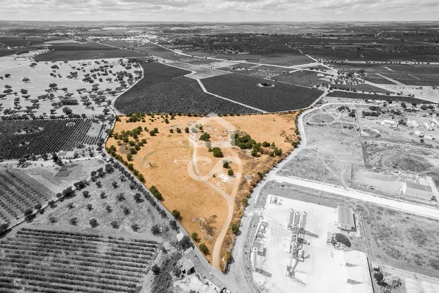 Terreno R�stico T0 - Reguengos de Monsaraz, Reguengos de Monsaraz, �vora - Imagem grande
