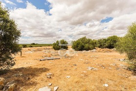 Terreno R�stico T0 - Reguengos de Monsaraz, Reguengos de Monsaraz, �vora - Miniatura: 5/14