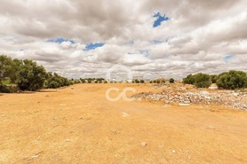 Terreno R�stico T0 - Reguengos de Monsaraz, Reguengos de Monsaraz, �vora - Miniatura: 6/14