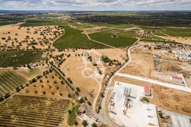Terreno R�stico T0 - Reguengos de Monsaraz, Reguengos de Monsaraz, �vora - Miniatura: 9/14