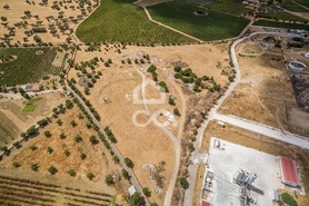 Terreno R�stico T0 - Reguengos de Monsaraz, Reguengos de Monsaraz, �vora - Miniatura: 10/14