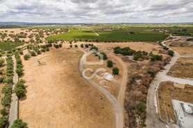 Terreno R�stico T0 - Reguengos de Monsaraz, Reguengos de Monsaraz, �vora - Miniatura: 11/14