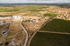 Terreno R�stico T0 - Reguengos de Monsaraz, Reguengos de Monsaraz, �vora - Miniatura: 12/14