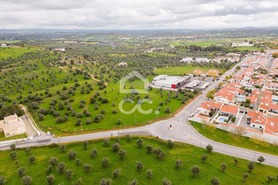 Terreno R�stico T0 - Redondo, Redondo, �vora - Miniatura: 13/23