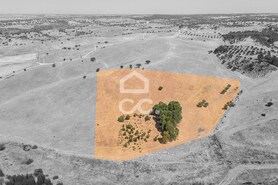 Terreno R�stico T0 - Reguengos de Monsaraz, Reguengos de Monsaraz, �vora - Miniatura: 1/15