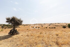 Terreno R�stico T0 - Reguengos de Monsaraz, Reguengos de Monsaraz, �vora - Miniatura: 2/15