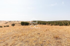 Terreno R�stico T0 - Reguengos de Monsaraz, Reguengos de Monsaraz, �vora - Miniatura: 3/15