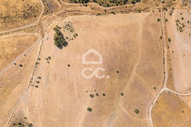 Terreno R�stico T0 - Reguengos de Monsaraz, Reguengos de Monsaraz, �vora - Miniatura: 9/15