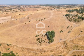 Terreno R�stico T0 - Reguengos de Monsaraz, Reguengos de Monsaraz, �vora - Miniatura: 14/15