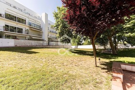 Apartamento T5 - Malagueira, �vora, �vora - Miniatura: 31/50