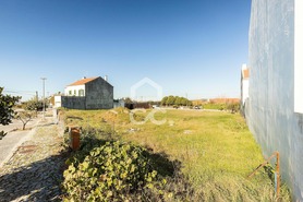Terreno R�stico T0 - Igrejinha, Arraiolos, �vora - Miniatura: 23/24