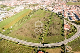 Terreno R�stico T0 - Reguengos de Monsaraz, Reguengos de Monsaraz, �vora - Miniatura: 2/20