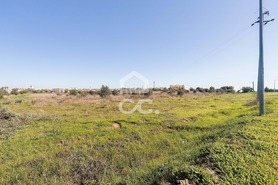 Terreno R�stico T0 - Reguengos de Monsaraz, Reguengos de Monsaraz, �vora - Miniatura: 4/20