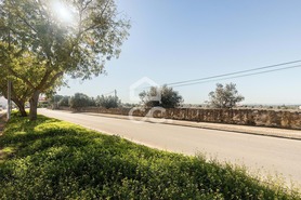 Terreno R�stico T0 - Reguengos de Monsaraz, Reguengos de Monsaraz, �vora - Miniatura: 5/20