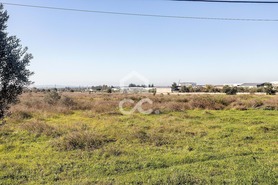 Terreno R�stico T0 - Reguengos de Monsaraz, Reguengos de Monsaraz, �vora - Miniatura: 6/20