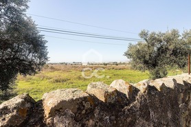 Terreno R�stico T0 - Reguengos de Monsaraz, Reguengos de Monsaraz, �vora - Miniatura: 7/20