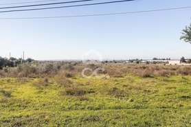 Terreno R�stico T0 - Reguengos de Monsaraz, Reguengos de Monsaraz, �vora - Miniatura: 8/20