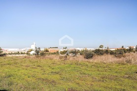 Terreno R�stico T0 - Reguengos de Monsaraz, Reguengos de Monsaraz, �vora - Miniatura: 9/20