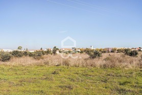 Terreno R�stico T0 - Reguengos de Monsaraz, Reguengos de Monsaraz, �vora - Miniatura: 10/20