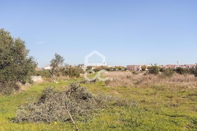 Terreno R�stico T0 - Reguengos de Monsaraz, Reguengos de Monsaraz, �vora - Miniatura: 11/20