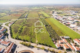 Terreno R�stico T0 - Reguengos de Monsaraz, Reguengos de Monsaraz, �vora - Miniatura: 12/20