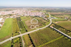Terreno R�stico T0 - Reguengos de Monsaraz, Reguengos de Monsaraz, �vora - Miniatura: 14/20
