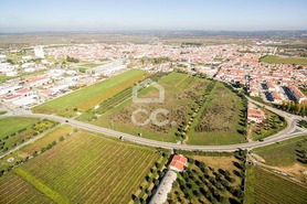 Terreno R�stico T0 - Reguengos de Monsaraz, Reguengos de Monsaraz, �vora - Miniatura: 15/20