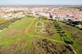 Terreno R�stico T0 - Reguengos de Monsaraz, Reguengos de Monsaraz, �vora - Miniatura: 16/20