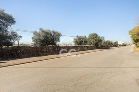 Terreno R�stico T0 - Reguengos de Monsaraz, Reguengos de Monsaraz, �vora - Miniatura: 20/20