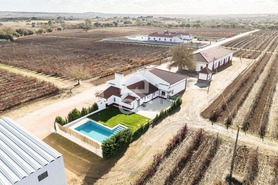 Quinta - Redondo, Redondo, �vora - Miniatura: 6/89
