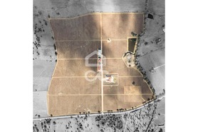 Quinta - Redondo, Redondo, �vora - Miniatura: 9/89