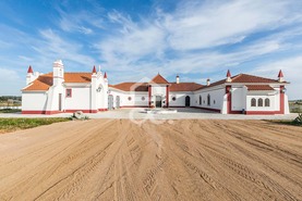 Quinta - Redondo, Redondo, �vora - Miniatura: 65/89
