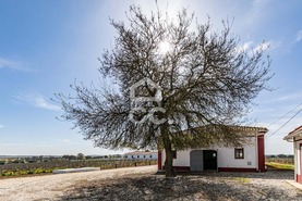 Quinta - Redondo, Redondo, �vora - Miniatura: 70/89